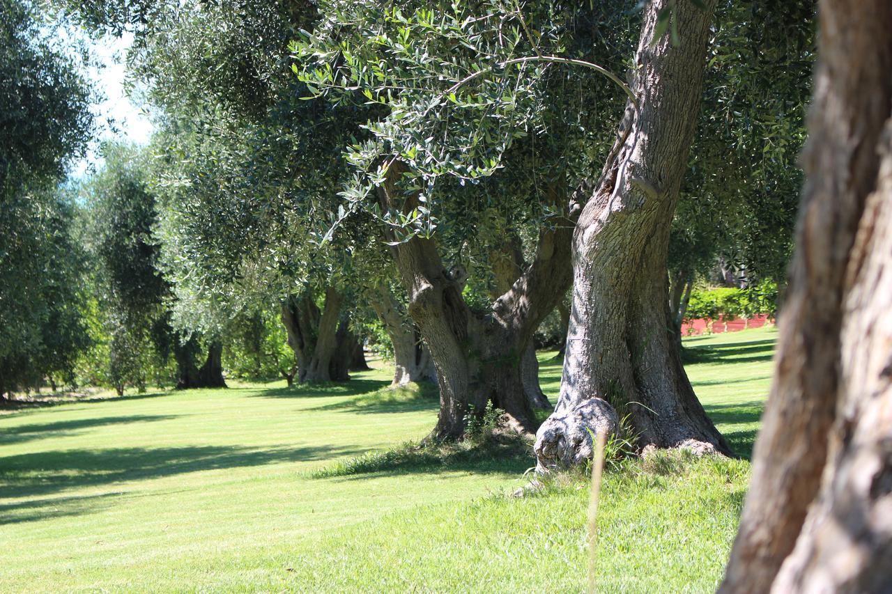 Villaggio Uliveto Rodi Garganico Exterior foto